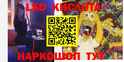 гашик Кандалакша