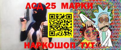 гашик Кандалакша